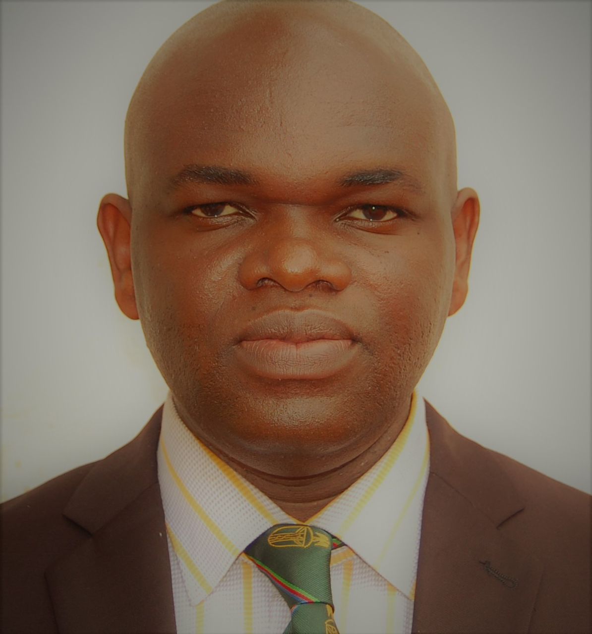 Dr Nnaemeka Thaddeus Onyishi
